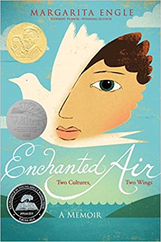 Enchanted Air Book Review