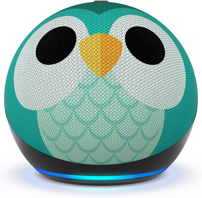 Owl Echo Dot