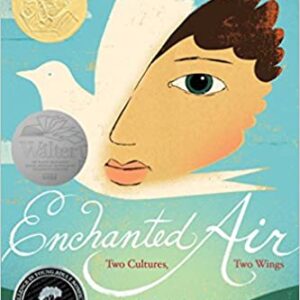 Enchanted Air Book Review